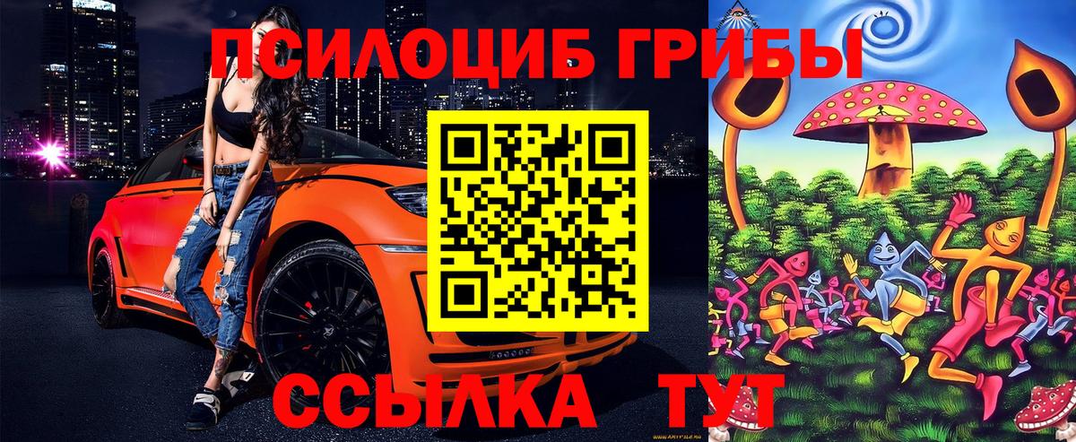 Галлюциногенные грибы прущие грибы Ноябрьск