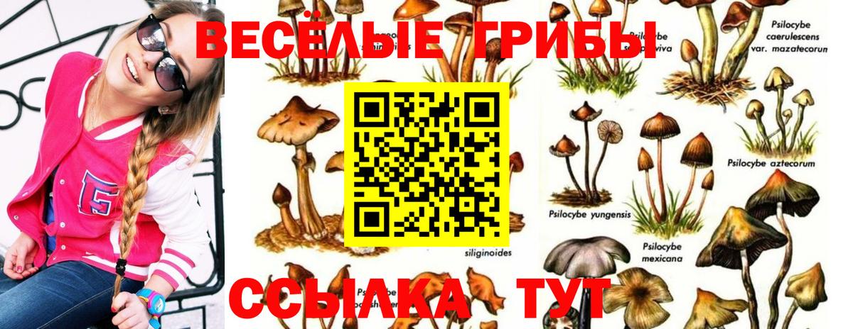 Ноябрьск  Галлюциногенные грибы ЛСД  Вход с VPN 